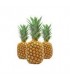 PIÑA GOLDEN