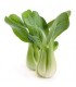 PAK CHOI
