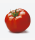 Tomate