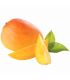 MANGO EDWARD