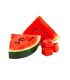 SANDIA