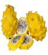 PITAHAYA