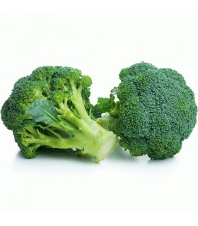 BROCOLI