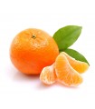 MANDARINA