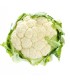COLIFLOR